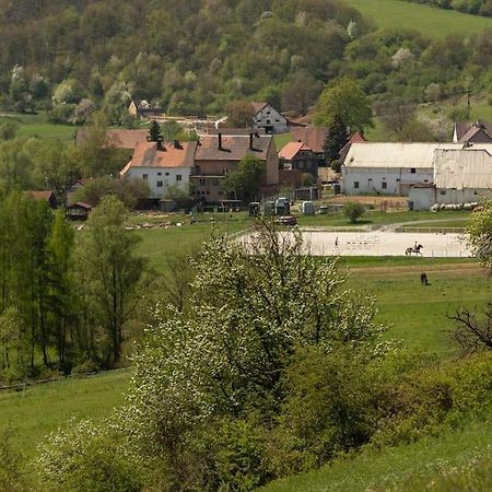 Ubytovani V Apartmanu, 2 Loznice, Na Farme Bzany Экстерьер фото